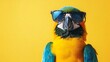 © Kenny Parker - Parrot with trendy sunglasses and accessories looking stylish