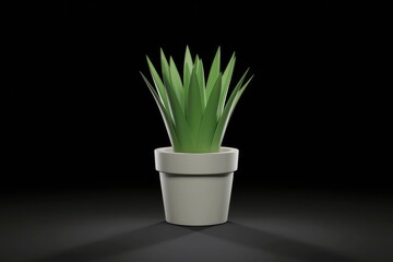 Aufkleber - A potted plant with green leaves on a transparent background.