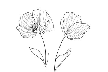 Poster - Continually line art drawing of an African violet. A black linear sketch of a Saintpaulia flowering plant isolated on white background.