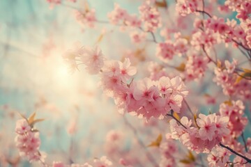 Poster - A close-up shot of a tree branch covered in pink flowers