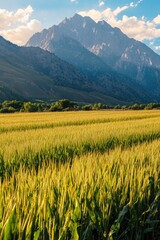 Poster - A sunny day scene with a field of crops and mountains in the background