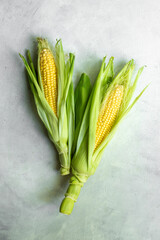 Two fresh yellow corns on the cob, top view. Vegetable background