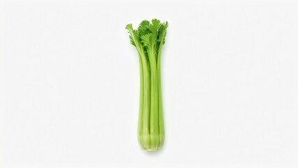 Fresh Green Celery Stalk Isolated on White Background