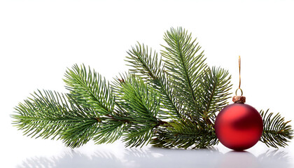 Wall Mural - small christmas tree branch with a red ornament sits alone on a clean white surface in png _1(558)