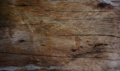 Wall Mural - photo of dry wood with beautiful brown grain, suitable for background