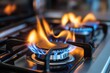 © Nurullah - Close-up of a gas stove burner with flames.