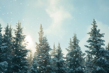 Poster - Tall pine trees stand majestically in a snow-covered forest, illuminated by soft sunlight filtering through the winter sky. Generative AI
