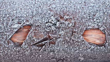 Aufkleber - A piece of wood covered in frost and snow. The wood appears to be old and weathered, with a rough texture. The frost and snow give the wood a cold and desolate appearance