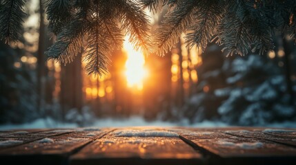 Poster - Golden sunlight breaks through the evergreen branches, illuminating a snowy forest. The warm glow contrasts against the cold surroundings, creating a serene and peaceful atmosphere in winter.