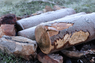 Aufkleber - A piece of wood covered in frost and snow. The wood appears to be old and weathered, with a rough texture. The frost and snow give the wood a cold and desolate appearance