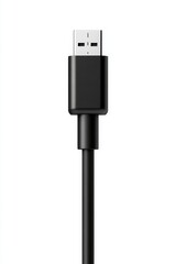 Isolated black upright USB plug