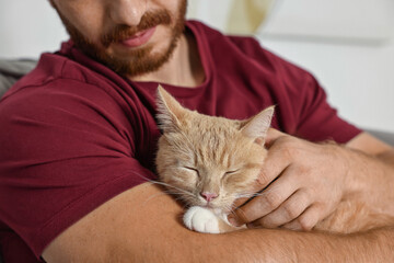 Wall Mural - Man petting cute ginger cat on armchair at home, closeup