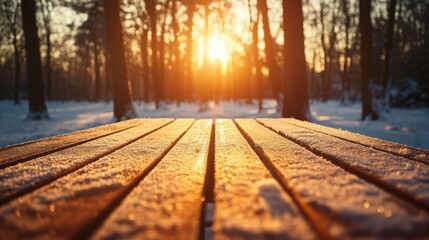 Poster - The warm glow of the setting sun illuminates a snow-dusted wooden table in a serene forest. Tall trees surround the area, creating a peaceful winter atmosphere during the late afternoon hours.