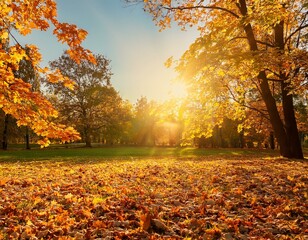 sunny autumn day with beautiful orange fall foliage in the park ground covered in dry fallen leaves lit by bright sunlight autumn landscape with maple trees and sun natural background