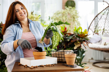 Wall Mural - Beautiful brunette woman houseplant growth hobby watering potted plant at home garden closeup. 