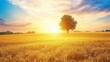 © Puttipong - Serene Sunrise Over Golden Wheat Field