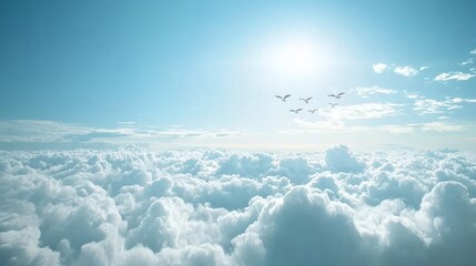 birds flying above a sea of fluffy white clouds, with the sun shining brightly in the blue sky.
