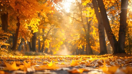 Aufkleber - A tranquil forest pathway is surrounded by a brilliant display of golden autumn leaves, illuminated by soft sunlight filtering through trees. Generative AI