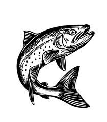 Wall Mural - rainbow trout fish engraving black and white outline