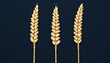 © POOM - Golden wheat the symbol of abundance and growth in agriculture and nature