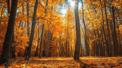 The forest showcases stunning golden leaves and tall trees, illuminated by gentle sunlight during the beautiful autumn season. Generative AI