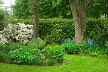 garden, trees or grass field with flowers or plants for natural growth, ecology or eco friendly envi
