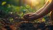 © Yolo - A child's hands gently hold a small seedling, symbolizing the promise of growth and new life.