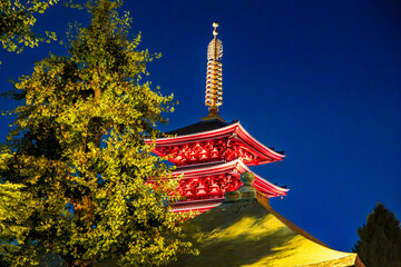 Senso-ji temple by night in Asakusa, Taito City, Tokyo, Japan