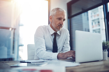 Poster - Business man, laptop and mature with office working on audit, corporate and banking data check. CEO, report and auditor job with financial advisor and accounting planning for finance project