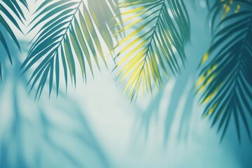 Poster - Soft shadows of palm leaves against a gentle blue background. An understated abstract scene ideal for presenting items. Captures the spirit of spring and summer vibes