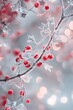 © felix_brönnimann - Frosty Red Berries on Icy Branches with Sparkling Bokeh Background â€“ Captivating Winter Nature Scene for Holiday Decor and Seasonal Designs