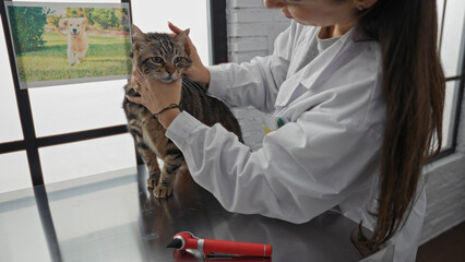 A hispanic woman veterinarian is examining a tabby cat on a metal table in a clinic room, with a poster of a dog in the background.