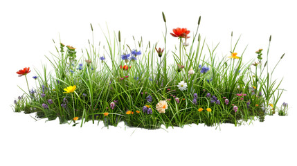 Fototapete - grass with flowers png