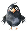 © Robert Kneschke - Cute happy crow cartoon created in watercolor style for nursery decor, featuring a minimalist design with cheerful expression.
