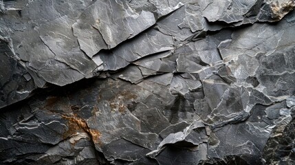 Poster - Close-up of rough, gray, textured rock face.