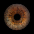 © Gianmarco - Iris Photography - Unique Singularity_22