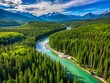 © Arnada - Aerial View of Lush Evergreen Forest in British Columbia - Nature and Landscape Photography