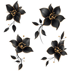 Wall Mural - Elegant black and gold floral arrangement on transparent background for luxury design concepts