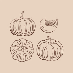 Wall Mural - Set of pumpkin. Hand drawn vector illustration.