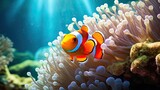 A vibrant clownfish swimming among colorful anemone tentacles in a clear, tropical reef, showcasing its bright orange 