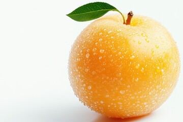 Shiny Golden Nectarine with Leaf and Water Droplets