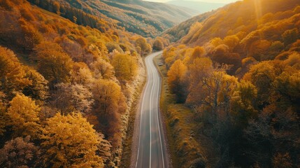 Wall Mural - aerial view of a winding road through an autumn forest