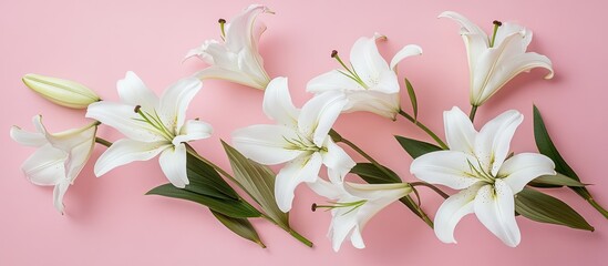 Aufkleber - Lovely white lily flowers on a pink background arranged flat Room for text. with copy space image. Place for adding text or design
