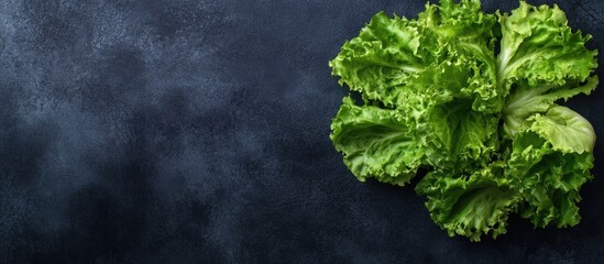 Leinwandbilder - Fresh green lettuce salad on a dark background with top view copy space