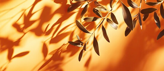Fototapete - Trending idea using natural materials featuring plant shadows on orange Daytime presentation Naturally blurred shading Summer sunlight from herbs An abstract beautiful background for text