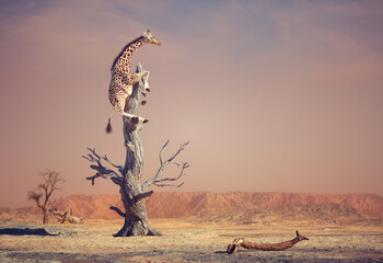 Giraffe climbing a dry tree in surreal landscape