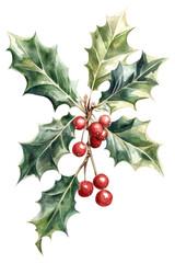 Wall Mural - PNG Holly illustration watercolor christmas.