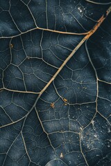 Wall Mural - Close up of a leaf with a lot of detail. The leaf is brown and has a lot of texture