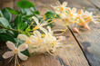 © Hunman - Fresh honeysuckle on wooden table.