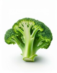 Wall Mural - Fresh green broccoli floret